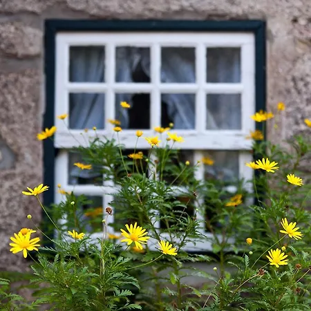 Casa De Abbades Gasthof Gandra (Viana do Castelo)