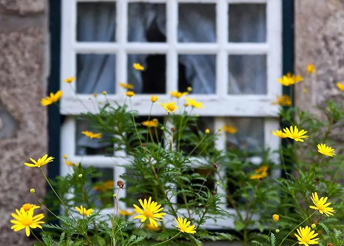 Casa De Abbades Affittacamere Ponte de Lima